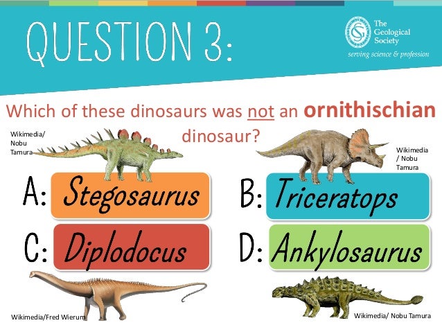 dinosaur presentation ideas