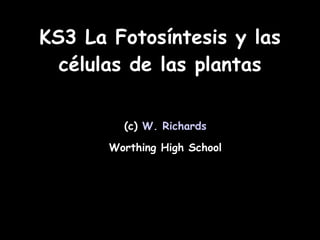 KS3 La Fotosíntesis y las células de las plantas (c)  W. Richards Worthing High School 