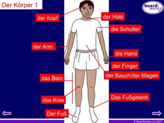 Der Körper 1 der Kopf der Hals die Schulter der Arm  die Hand der Finger der Bauch/der Magen das Bein Das Fußgelenk das Knie Der Fuß 
