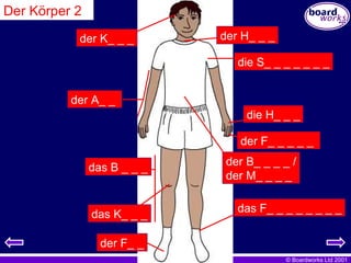 Der Körper 2 das B _ _ _ der K_ _ _ der H_ _ _ die S_ _ _ _ _ _ _ der A_ _  die H_ _ _ der F_ _ _ _ _  das F_ _ _ _ _ _ _ _ das K_ _ _ der F_ _ der B_ _ _ _ / der M_ _ _ _ 