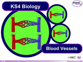 © Boardworks Ltd 20041 of 30
KS4 Biology
Blood Vessels
 