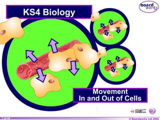 © Boardworks Ltd 20041 of 44
KS4 Biology
Movement
In and Out of Cells
 