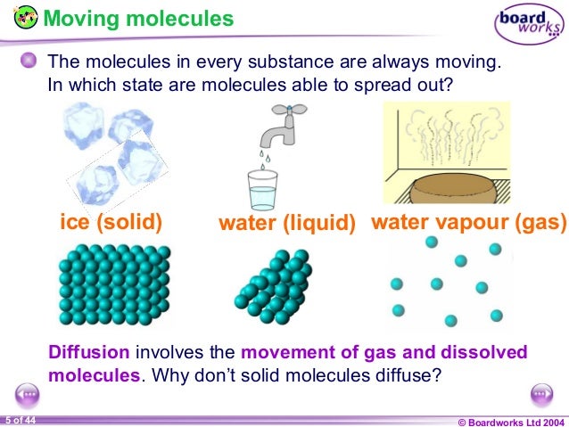 movement in and out of cells Study flashcards on b2 movement in and out of cells at cramcom quickly memorize the terms, phrases and much more cramcom makes it easy to get the grade you want. movement in and out of cells Study flashcards on b2 movement in and out of cells at cramcom quickly memorize the terms, phrases and much more cramcom makes it easy to get the grade you want.