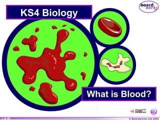 © Boardworks Ltd 20041 of 40
KS4 Biology
What is Blood?
 