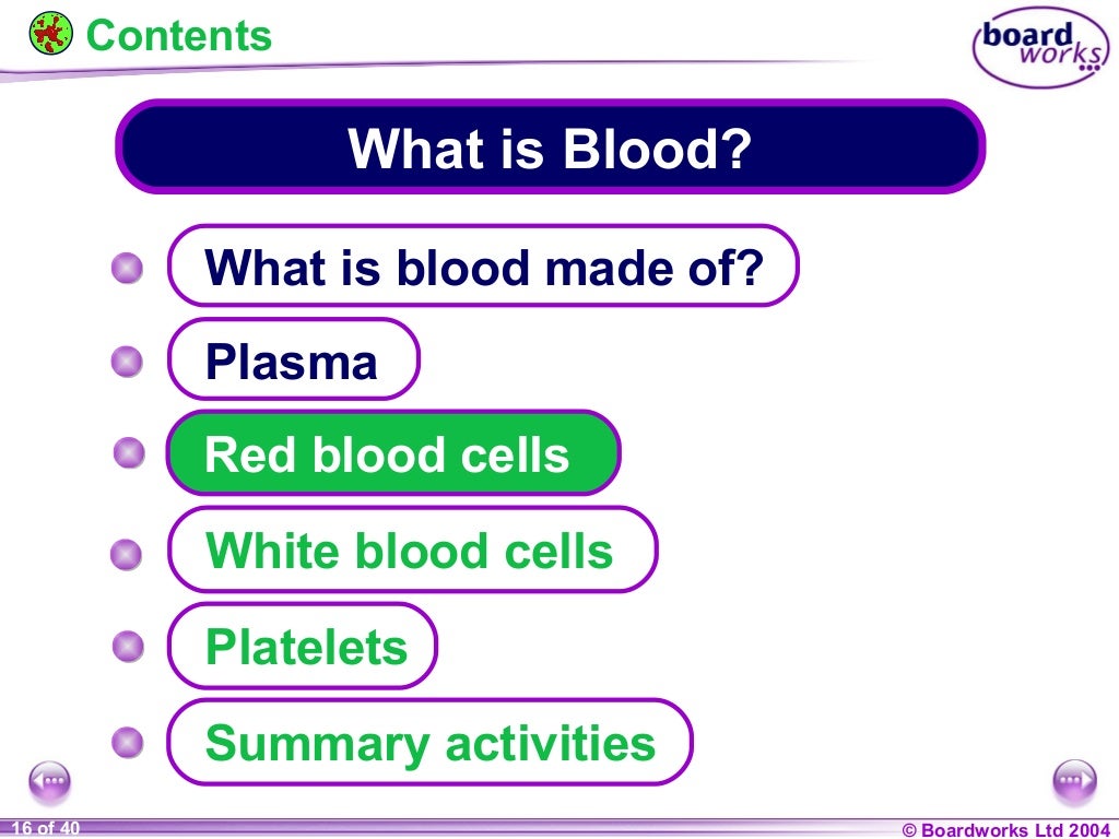 Ks4 what is blood