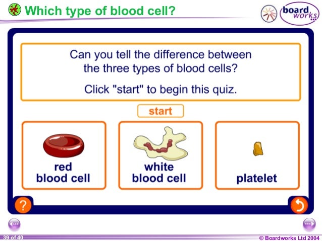 Ks4 what is blood