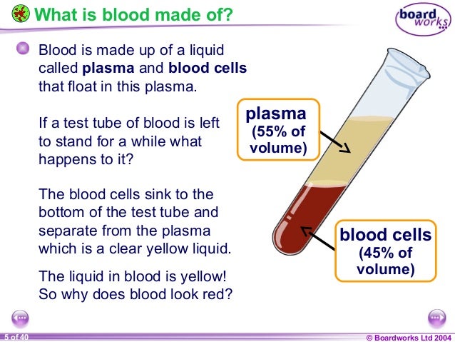 what is your blood composed of