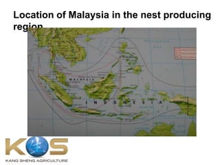 Location of Malaysia in the nest producing
region.
 