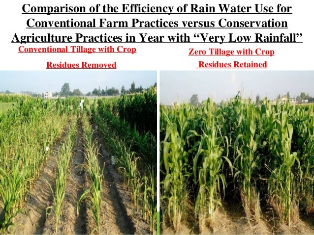 how do conservation tillage practices in agriculture benefit the soil