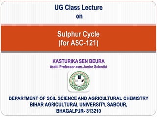 KASTURIKA SEN BEURA
Asstt. Professor-cum-Junior Scientist
UG Class Lecture
on
Sulphur Cycle
(for ASC-121)
DEPARTMENT OF SOIL SCIENCE AND AGRICULTURAL CHEMISTRY
BIHAR AGRICULTURAL UNIVERSITY, SABOUR,
BHAGALPUR- 813210
 
