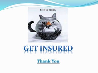 Insurance