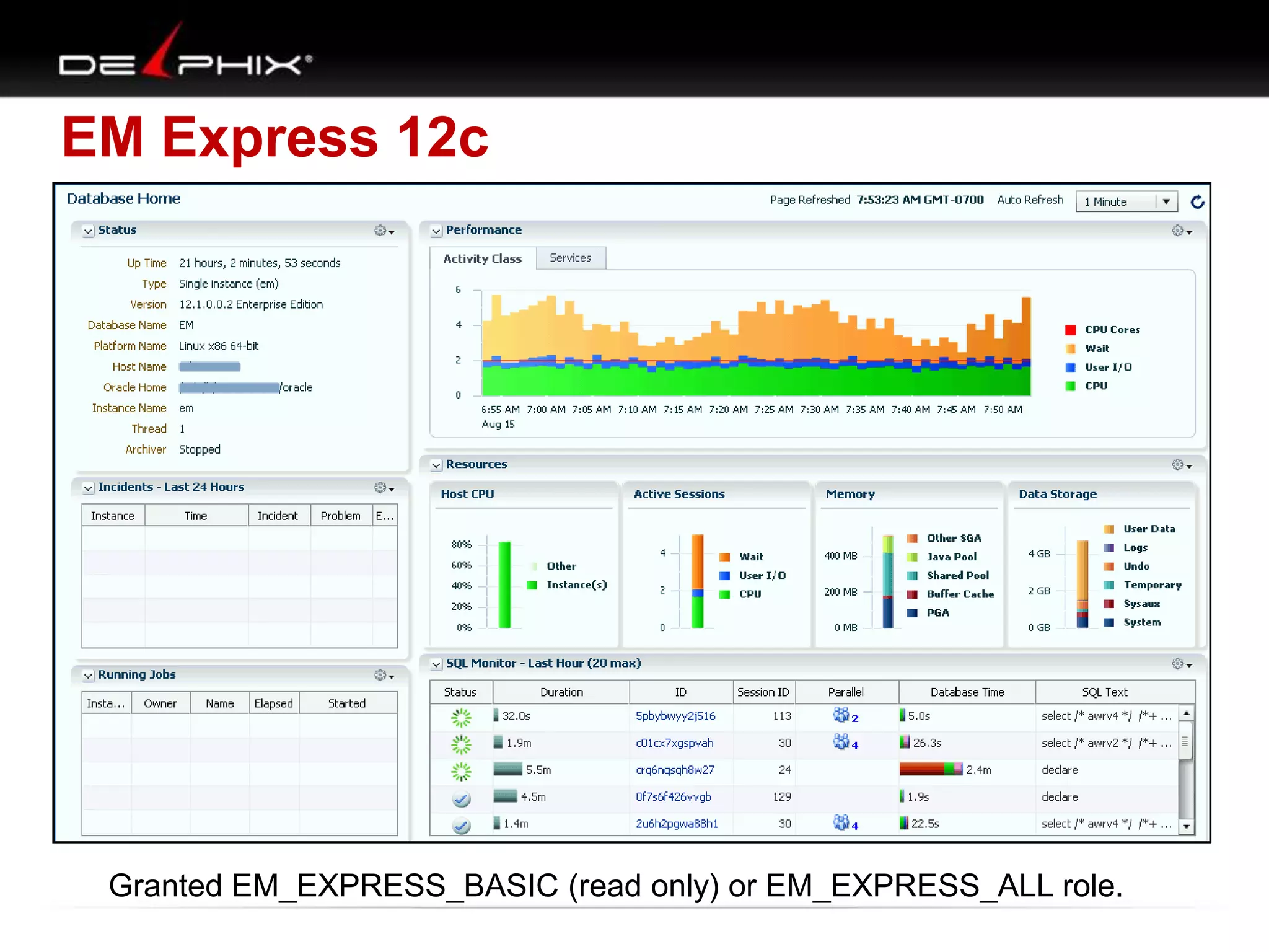 EM Express 12c
Granted EM_EXPRESS_BASIC (read only) or EM_EXPRESS_ALL role.
 