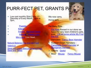 PURR-FECT PET, GRANTS PASS
 Low cost monthly Shot Clinic, 1st

Saturday of Every Month. 3pm to
5pm,
 Puppies –Puppies
 K

Kittens
 F
Ferrets - Marshall Farms
 Bunnies –Rabbits - Holland Lops
Mini Lops, Lion Head,
Natural Balance Dog and Cat Food
Vetericyn
Sleek and Sassy Bird and Parrot Food.
Seed and Treats

TOP OF PAGE

We now carry,
Horse tack…
Pet Baby Rats…
 Pet Rats Raised in our store we
have the very best children's pets,
ever. Life at home article My First
Pet Rat
 Hamsters - Fancy Bear Hamster
 Russian Dwarf Hamsters Campbells Dwarf Hamster or
Djungarian Hamster
 Gerbils –Gerbil
 Mice – Mouse or Fancy Mouse

2/8/2014

1

 