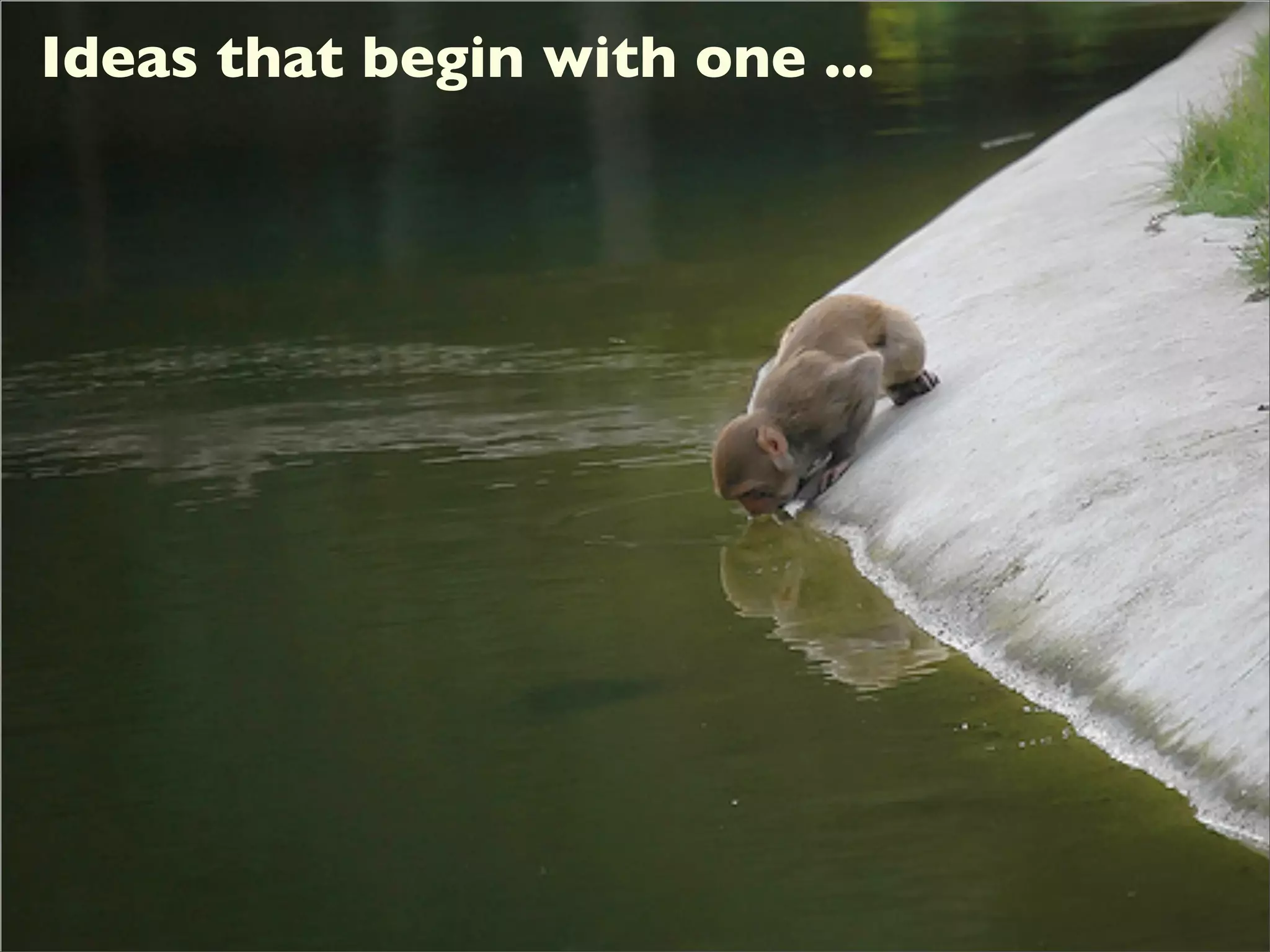 Social Media as Leverage Point