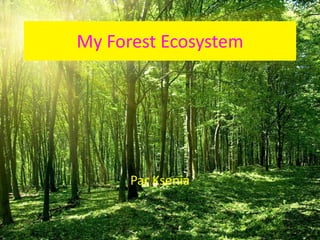 My Forest Ecosystem
Par Ksenia
 