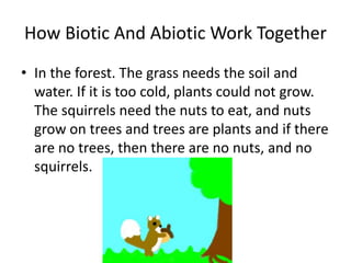 How Biotic And Abiotic Work Together
• In the forest. The grass needs the soil and
water. If it is too cold, plants could not grow.
The squirrels need the nuts to eat, and nuts
grow on trees and trees are plants and if there
are no trees, then there are no nuts, and no
squirrels.
 