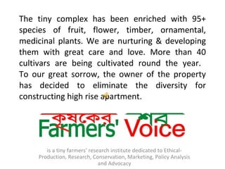 The tiny complex has been enriched with 95+ species of fruit, flower, timber, ornamental, medicinal plants. We are nurturing & developing them with great care and love. More than 40 cultivars are being cultivated round the year.  To our great sorrow, the owner of the property has decided to eliminate the diversity for constructing high rise apartment.  is a tiny farmers’ research institute dedicated to Ethical- Production, Research, Conservation, Marketing, Policy Analysis and Advocacy 