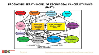 PROGNOSTIC SEPATH-MODEL OF ESOPHAGEAL CANCER DYNAMICS
(N=553):
 
