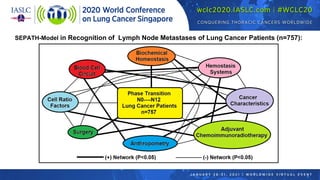 SEPATH-Model in Recognition of Lymph Node Metastases of Lung Cancer Patients (n=757):
 