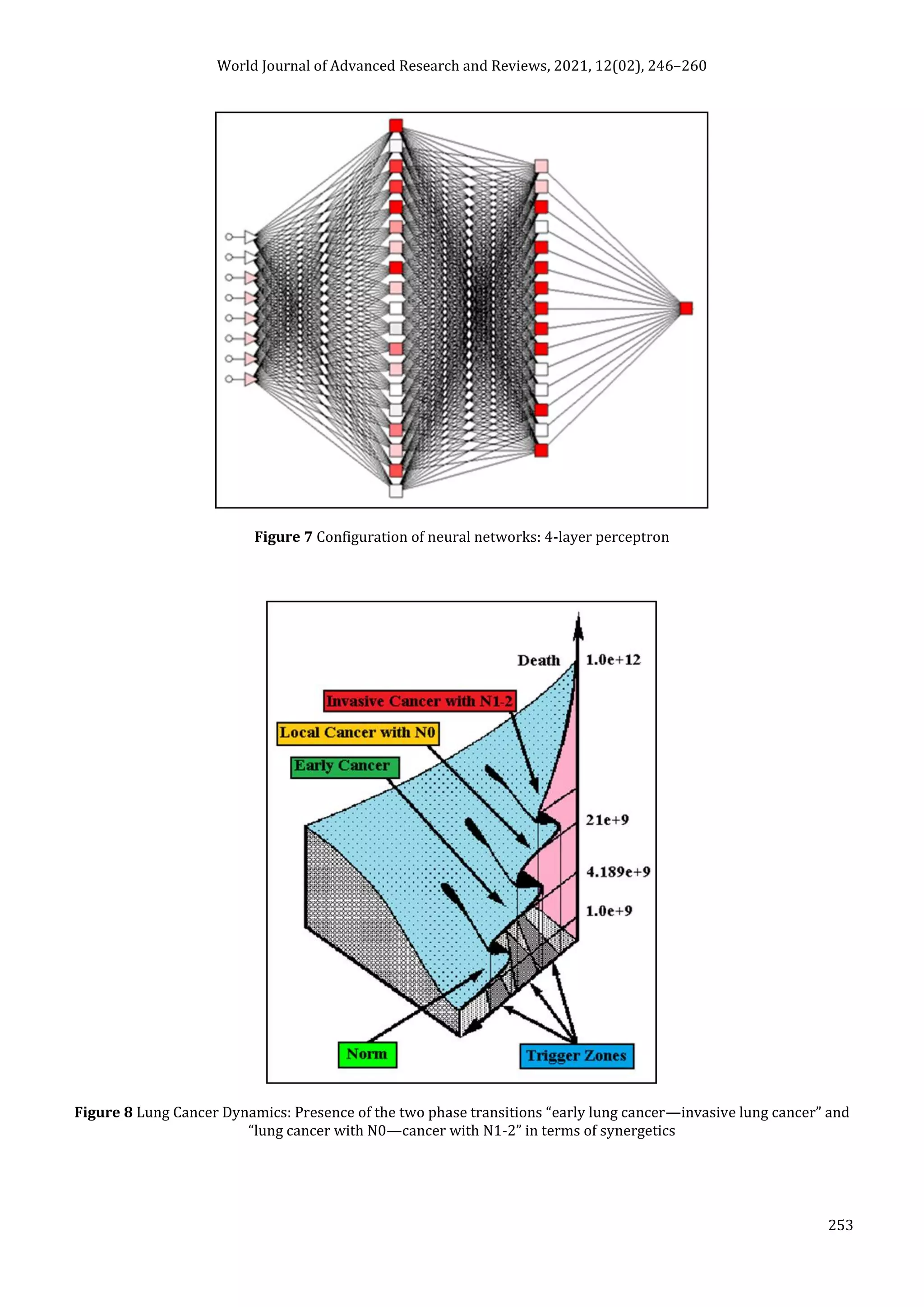 World Journal of Advanced Research and Reviews, 2021, 12(02), 246–260
253
Figure 7 Configuration of neural networks: 4-layer perceptron
Figure 8 Lung Cancer Dynamics: Presence of the two phase transitions “early lung cancer—invasive lung cancer” and
“lung cancer with N0—cancer with N1-2” in terms of synergetics
 