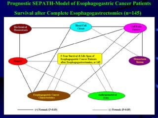 Prognostic SEPATH-Model of Esophagogastric Cancer Patients Survival after Complete Esophagogastrectomies (n=145)   
