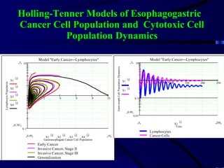 Holling-Tenner Models of Esophagogastric  Cancer Cell Population and  Cytotoxic Cell Population Dynamics 