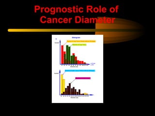 Prognostic Role of  Cancer Diameter 