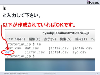 NYSOL Partner KSK Analytics © KSK Analytics Inc. 7
ls
と入力して下さい。
以下が作成されていればＯＫです。
 