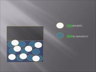 MOLEKÜL   SU MOLEKÜLÜ  