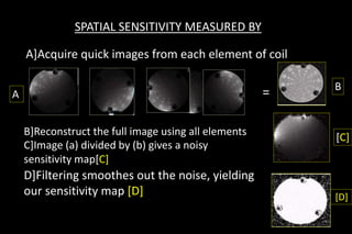 SPATIAL SENSITIVITY MEASURED BY
A]Acquire quick images from each element of coil
B]Reconstruct the full image using all elements
C]Image (a) divided by (b) gives a noisy
sensitivity map[C]
=A
B
[C]
D]Filtering smoothes out the noise, yielding
our sensitivity map [D] [D]
 
