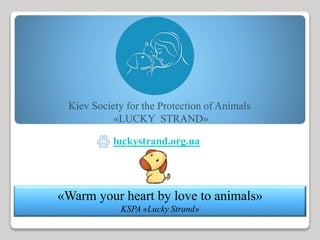 «Warm your heart by love to animals»
KSPA «Lucky Strand»
Kiev Society for the Protection of Animals
«LUCKY STRAND»
luckystrand.org.ua
 