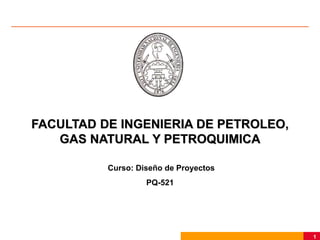 1
FACULTAD DE INGENIERIA DE PETROLEO,
GAS NATURAL Y PETROQUIMICA
Curso: Diseño de Proyectos
PQ-521
 