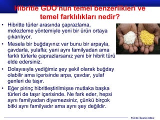 Prof.Dr. İbrahim USLU
• Hibritte türler arasında çaprazlama,
melezleme yöntemiyle yeni bir ürün ortaya
çıkarılıyor.
• Mesela bir buğdayınız var bunu bir arpayla,
çavdarla, yulafla; yani aynı familyadan ama
farklı türlerle çaprazlarsanız yeni bir hibrit türü
elde edersiniz.
• Dolayısıyla yediğimiz şey şekil olarak buğday
olabilir ama içerisinde arpa, çavdar, yulaf
genleri de taşır.
• Eğer pirinç hibritleştirilmişse mutlaka başka
türleri de taşır içerisinde. Ne fark eder, hepsi
aynı familyadan diyemezsiniz, çünkü birçok
bitki aynı familyadır ama aynı şey değildir.
Hibritle GDO'nun temel benzerlikleri ve
temel farklılıkları nedir?
 