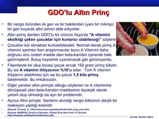 Prof.Dr. İbrahim USLU
• Bir nergis türünden iki gen ve bir bakteriden (yani bir mikrop)
bir gen koyarak altın pirinci elde ediyorlar.
• Altın pirinç denilen GDO’lu bir ürünün Asya’da "A vitamini
eksikliği çeken çocuklar için kurtarıcı olabileceği” söylenir.
• Çocuklar kör olmaktan kurtulabilecekti. Normal olarak pirinç A
vitamini içermez iken araştırmacılar bunu A Vitamini daha
doğrusu onu üreten madde olan beta-karoten içerecek hale
getirmişlerdi. Buluş hayranlık uyandıracak gibi görünüyordu.
• Filipinlerde bir okul öncesi çocuk ancak 150 gram pirinç tüketir.
Bu ise A vitamini ihtiyacının %10’u eder. Tüm A vitamini
ihtiyacını alabilmesi için ise bu çocuk 1,5 kilo pirinç
tüketmelidir. Bu imkânsızdır.
• Diğer yandan altın pirinçte olduğu söylenen ve A vitaminine
dönüşecek olan beta-karoten maddesinin biyolojik olarak
yararlı olup olmadığı da ayrı bir problemdir.
• Ayrıca Altın prinçte Genlerin alındığı nergis bitkisinin alerjik bir
reaksiyon yaptığı kesindir.
• (Kaynak: Conway, G., http://www.oecd.org/subject/biotech/ed_prog_sum.htm)
• (Kaynak: MASIPAG, Grains of Delusion, Golden Rice seen From Th Ground,
http://stopogm.net/files/GrainsDelusion.pdf)
GDO’lu Altın PrinçGDO’lu Altın Prinç
 