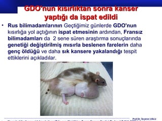 Prof.Dr. İbrahim USLU
• Rus bilimadamlarının Geçtiğimiz günlerde GDO'nun
kısırlığa yol açtığının ispat etmesinin ardından, Fransız
bilimadamları da 2 sene süren araştırma sonuçlarında
genetiği değiştirilmiş mısırla beslenen farelerin daha
genç öldüğü ve daha sık kansere yakalandığı tespit
ettiklerini açıkladılar.
GDO'nun kısırlıktan sonra kanserGDO'nun kısırlıktan sonra kanser
yaptığı da ispat edildiyaptığı da ispat edildi
 