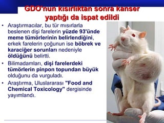 Prof.Dr. İbrahim USLU
• Araştırmacılar, bu tür mısırlarla
beslenen dişi farelerin yüzde 93'ünde
meme tümörlerinin belirlendiğini,
erkek farelerin çoğunun ise böbrek ve
karaciğer sorunları nedeniyle
öldüğünü belirtti.
• Bilimadamları, dişi farelerdeki
tümörlerin pinpon topundan büyük
olduğunu da vurguladı.
• Araştırma, Uluslararası "Food and
Chemical Toxicology" dergisinde
yayımlandı.
GDO'nun kısırlıktan sonra kanserGDO'nun kısırlıktan sonra kanser
yaptığı da ispat edildiyaptığı da ispat edildi
 