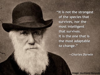 “ It is not the strongest of the species that survives, nor the most intelligent  that survives.  It is the one that is the most adaptable to change.” — Charles Darwin Image: Auckland Museum 