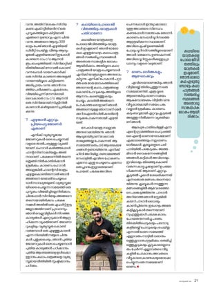 sk]v-äw_À 2025 21
വന്നു.അതിന്ശേഷംസിനിമ
കണ്ടഎക്‌സ്പീരിയൻസ്ഒരു
പുസ്തകത്തിലൂടെകിട്ടിയാൽ
എങ്ങനെഉണ്ടാവുംഎന്നചിന്ത
വന്നു.അങ്ങനെആദ്യം300
ഓളംപേജ്ഞാൻഎഴുതിയത്
ഡിലീറ്റ്ചെയ്തു.വീണ്ടുംആദ്യം
മുതൽഎഴുതിയതാണ്ഇപ്പോൾ
കാണുന്നറാംc/oആനന്ദി
രൂപപ്പെടുത്തിയത്.സിനിമാറ്റിക്ക്
രീതിയിലേക്ക്ന�ോവൽക�ൊണ്ട്
വന്നപ്പോൾവായനക്കാർക്ക്
ഒരുസിനിമകാണുന്നഅനുഭൂതി
വായനയിലൂടെ കിട്ടിയെന്ന
അഭിപ്രായംവന്നു.ഞാൻനട
ത്തിയപരീക്ഷണംഏകദേശം
വിജയിച്ചെന്ന്മനസിലായി.
വൈകാതെറാംc/o ആനന്ദി
ഒരുസിനിമയായിസ്‌ക്രീനിൽ
കാണാൻകഴിയുമെന്ന്പ്രതീക്ഷി
ക്കുന്നു.
? എഴുതാൻഏറ്റവും
പ്രിയപ്പെട്ടജ�ോണർ
ഏതാണ്
എനിക്ക്വ്യത്യസ്തമായ
ജ�ോണറുകൾട്രൈചെയ്യുന്നത്
വളരെതാൽപര്യമുള്ളവ്യക്തി
യാണ്.ഹ�ൊറർകഴിഞ്ഞപ്പോൾ
ഫാന്റസിന�ോക്കിയതുംഅതി
നാലാണ്.പക്ഷേഒന്നിൽതന്നെ
ഒതുങ്ങിനിൽകാതിരിക്കാൻ
ശ്രമിക്കും.കാരണംഹ�ൊറർ
അല്ലെങ്കിൽഫാന്റെസിമാത്രം
എഴുതുക�ൊണ്ടിരുന്നാൽഞാൻ
അങ്ങനെലേബൽചെയ്യപ്പെ
ടാൻസാദ്ധ്യതയുണ്ട്.വ്യത്യസ്തമാ
യിട്രൈചെയ്യുന്നസമയത്ത്ഒരു
പുസ്തകംവിജയിച്ചില്ലെനിരിക്കാം
ചിലപ്പോൾസിനിമയുംഅങ്ങനെ
തന്നെയായിരിക്കാം.പക്ഷേ
നമ്മൾഅതിൽഒരുഎഫർട്ട്ഇടു
മല്ലോഅതിനാണ്പ്രാധാന്യം.
ഞാൻവെല്ലുവിളികൾനിറഞ്ഞ
കാര്യങ്ങൾഏറ്റെടുക്കാൻആഗ്ര
ഹിക്കുന്നവ്യക്തിയാണ്.ജ�ോണാ
റുകളിലുംവ്യത്യസ്തതക�ൊണ്ട്
വരുമ്പോൾഒരുഎഴുത്തുകാരൻ
എന്നനിലയിൽനമ്മുടെചിന്ത
കൾപുതുക്കപ്പെടും.ഞാൻപുതിയ
ജ�ോണറുകൾട്രൈചെയ്യമ്പോൾ
പുതിയകാര്യങ്ങൾപഠിക്കാനും
പുതിയആശയങ്ങളെഉൾക്കൊ
ള്ളാനുംകഥാപാത്രങ്ങളെവ്യത്യ
സ്തമായരീതിയിൽസൃഷ്ടിക്കാനും
പഠിക്കും.
? കഥയിലെപ�ോലെജീ
വിതത്തിലുംയാത്രകൾ
പതിവാണ�ോ
കഥയിലെയാത്രകളെ
പ�ോലെജീവിതത്തിലുംയാത്ര
കൾഇഷ്ടമാണ്.ഞാൻഓര�ോ
കഥഎഴുതുമ്പോഴുംകഥാപാത്ര
ങ്ങൾസഞ്ചരിച്ചസ്ഥലങ്ങൾ
അത�ൊരുസാങ്കല്പികല�ോകം
ആയിരിക്കാം.അതിലൂടെകഥാ
പാത്രങ്ങൾയാത്രചെയ്യമ്പോൾ
എനിക്ക്യാത്രകളുടെഅനുഭവം
കിട്ടുന്നു.എനിക്ക്പ�ോകാൻപറ്റാ
ത്തഒരുമായല�ോകത്തിലേക്ക്
ഞാനെന്റെകഥാപാത്രങ്ങളെ
ക�ൊണ്ട്പ�ോവുകയുംഅതിലൂടെ
ആനന്ദംകണ്ടെത്തുകയും
ചെയ്യും.കടലിൽഅങ്ങനെ
പ�ോകാത്തഒരാളാണ്ഞാൻ,
അങ്ങനെയുള്ളഞാനാണ്മെർ
ക്കുറിഐലൻഡിൽകടലിന്റെ
നടുക്കപ�ോകുന്നതായി എഴുതി
യത്.
നേപ്പാൾയാത്രനല്ലൊരു
അനുഭവമായിരുന്നു.ഞാൻ
ആദ്യമായിട്ടാണ്വേറ�ൊരു
രാജ്യത്തേയ്ക്കുപ�ോകുന്നത്.ആ
സമയത്ത്ഒരുപാട്ആശയക്കുഴ
പ്പങ്ങൾഉണ്ടായിരുന്നു.എനിക്ക്
ഹിന്ദിഅറിയില്ല.രണ്ടാമത്തേത്
നേപ്പാളിൽഎവിടെപ�ോകണം
എന്നോഎന്തുചെയ്യണംഎന്നോ
ഒരുപ്ലാനുംഇല്ലാതെയാണ്
പ�ോയത്.പക്ഷേഅവിടെ
ചെന്നപ്പോൾഇന്ത്യാക്കാര�ോ
ടുള്ളഅവരുടെസ്‌നേഹം
കണ്ടപ്പോൾസന്തോഷംത�ോന്നി.
കാരണംനേപ്പാൾടൂറിസത്തെ
ആശ്രയിക്കുന്നസ്ഥലമാണ്.
അവിടെകൃഷിഉണ്ടെങ്കിൽ
പ�ോലുംടൂറിസിസത്തിലൂടെയാണ്
അവർവരുമാനംഉണ്ടാകുന്നത്.
അവിടെടൂറിസ്റ്റുകൾക്കുള്ളപ്രാ
ധാന്യംവളരെവലുതാണ്.
? ഓണംഓർമ്മകളും
ആഘ�ോഷവും
എവിടെയാണെങ്കിലുംഞാൻ
വീട്ടിലേയ്ക്ക്തിരിച്ചെത്തുന്നഒരു
സമയമാണിത്.എത്രദൂരെ
ആണെങ്കിലുംഓണസമയം
ആകുമ്പോഴേക്കുംവീട്ടിൽവന്നു
വീട്ടുകാരുമായിസമയംപങ്കു
വയ്ക്കാൻശ്രമിക്കും.കാരണം
കുടുംബവുമായിഏറ്റവുംകൂടുതൽ
അടുത്തുനിൽക്കുന്നവ്യക്തിയാ
ണ്ഞാൻ.
ആലപ്പുഴപാതിരപ്പിള്ളിഎന്ന
എന്റെഗ്രാമത്തിലെചെറുപ്പത്തി
ലെഎന്റെഓണാഘ�ോഷമാണ്
എക്കാലത്തെയുംനല്ലഓണം
ഓർമകൾ.ക്ലബ്ബുകളുടെപരി
പാടിയിൽപങ്കെടുക്കും.അത്ത
മിടാൻവൈകുന്നേരങ്ങളിൽ
ഞങ്ങൾകുട്ടികൾഅവിടെയും
ഇവിടെയുംതിരഞ്ഞുക�ൊണ്ട്
വരുന്നകാട്ടുപൂക്കളാണ്ഉപയ�ോ
ഗിക്കുന്നത്.ആരാണ്ഏറ്റവും
കൂടുതൽപൂക്കൾശേഖരിക്കുന്നത്
എന്നത�ൊരുമത്സരംതന്നെയാ
യിരുന്നു.ക്ലബ്ബുകൾനടത്തുന്ന
മത്സരങ്ങളിൽആവേശത്തോ
ടെപങ്കെടുത്തിരുന്നു.പാടാൻ
അറിയാത്തഞാൻസ്റ്റേജിൽ
കയറിപാടാൻധൈര്യം
കാണിച്ചിരുന്നു.ഇപ്പോഴുംഅതേ
കളികൂട്ടുകാർതന്നെയാണ്
സുഹൃത്തുക്കൾപക്ഷേകാലം
പ�ോയതനുസരിച്ചുപലരും
തിരക്കിൽപ്പെടുകയുംപലനാടു
കളിലേയ്ക്ക്പ�ോവുകയുംചെയ്തു
എന്നാൽഓണസമയത്ത്
എല്ലാവരുംനാട്ടിൽവരാനും
ഒത്തുകൂടാനുംശ്രമിക്കും.ഒരുമിച്ച്
ഒത്തുകൂടുകയുംകൂട്ടുകാരെല്ലാവ
രുംചേർന്ന്എല്ലാവരുടെവീടു
കളിൽപ�ോകാനുംഅവരുടെ
വീട്ടുകാരെകാണുകയുമ�ൊക്കെ
ചെയ്യുന്നഒരുസമയമാണ്
ഓണം.n
കഥയിലെ
യാത്രകളെ
പ�ോലെജീവി
തത്തിലും
യാത്രകൾ
ഇഷ്ടമാണ്.
ഞാൻഓര�ോ
കഥഎഴുതു
മ്പോഴുംകഥാ
പാത്രങ്ങൾ
സഞ്ചരിച്ച
സ്ഥലങ്ങൾ
അത�ൊരു
സാങ്കല്പിക
ല�ോകംആയി
രിക്കാം.
 
