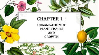 CHAPTER 1 :
ORGANISATION OF
PLANT TISSUES
AND
GROWTH
 
