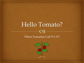 When Tomatoes Call 9-1-1!!!
 