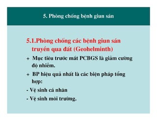 dai cuong giun san