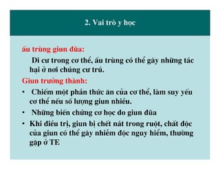 dai cuong giun san