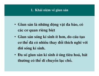 dai cuong giun san