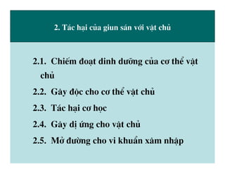 dai cuong giun san