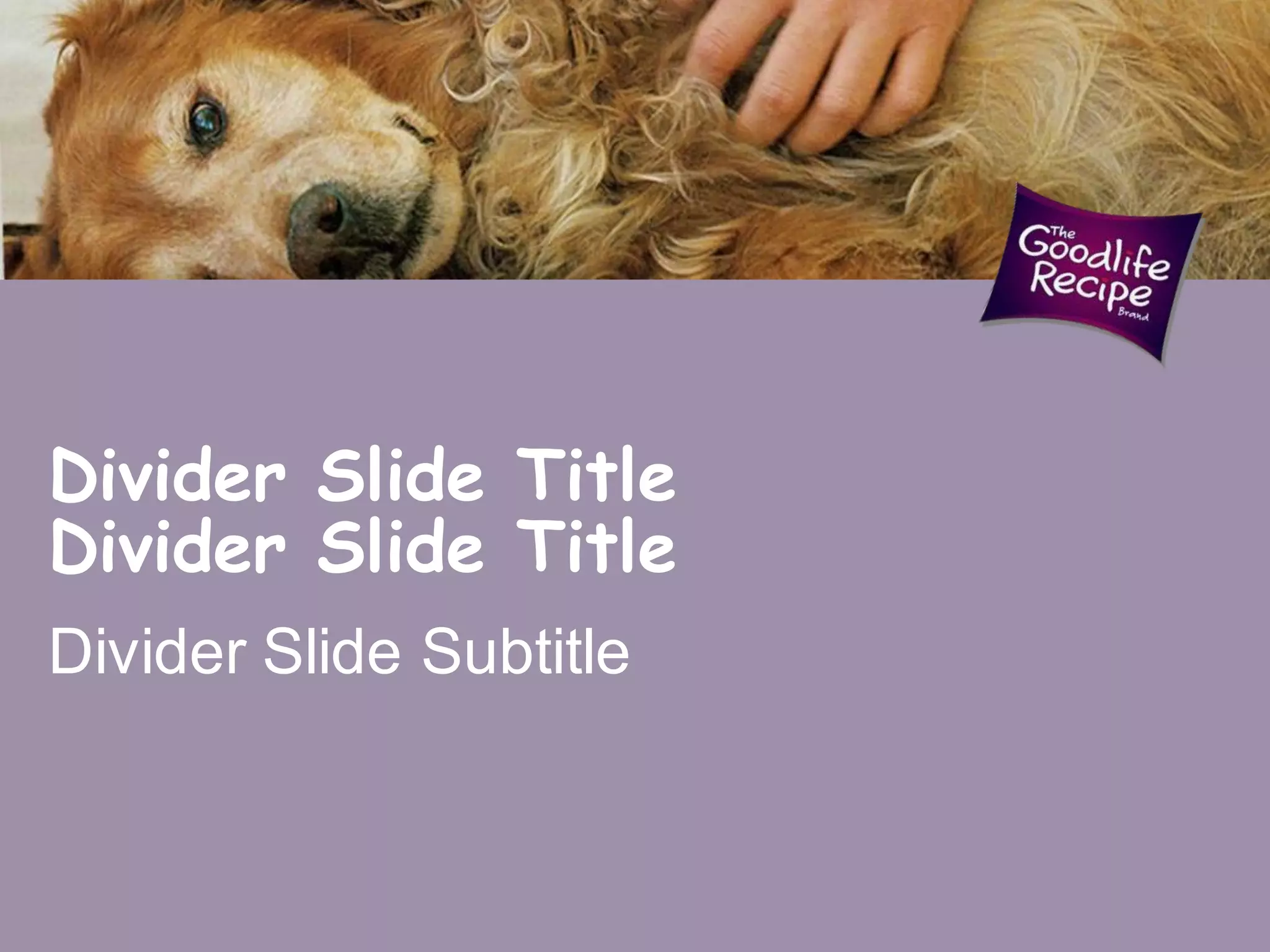 Divider Slide Title
Divider Slide Title
Divider Slide Subtitle
 