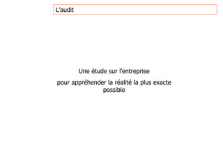 L’audit Une étude sur l’entreprise pour appréhender la réalité la plus exacte possible    41 % 