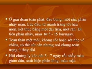    Ở giai đoạn toàn phát: đau bụng, mót rặn, phân
    nhầy máu. Lúc đầu, từ manh tràng tới hậu
    môn, kết thúc bằng mót đại tiện, mót rặn. Đi
    tiêu phân nhầy, máu từ 5 - 15 lần/ngày.
   Toàn thân mệt mỏi, không sốt hoặc sốt nhẹ về
    chiều, có thể sút cân nhưng nói chung toàn
    trạng ít thay đổi.
   Hội chứng lỵ kéo dài 5 - 7 ngày rồi nhầy máu
    giảm dần, xuất hiện phân lỏng, màu mật.
 
