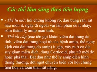 Các thể lâm sàng theo tiên lượng
   - Thể lu mờ: hội chứng không rõ, đau bụng rặn, rát
    hậu môn ít, ngày đi ngoài vài lần, phân có ít nhầy,
    sớm thành lỵ amíp mạn tính.
   - Thể tối cấp (các tên gọi khác: viêm đại tràng ác
    tính, viêm đại tràng hoại tử của bệnh amíp, thể nguy
    kịch của đại tràng do amíp) ít gặp, xảy ra ở cơ địa
    suy giảm miễn dịch, dùng Corticoid, phụ nữ mới đẻ
    hoặc phá thai. Bắt đầu như thể lỵ amíp điển hình
    thông thường, đột ngột chuyển biến với hội chứng
    tiêu hóa và toàn thân rất nặng.
 