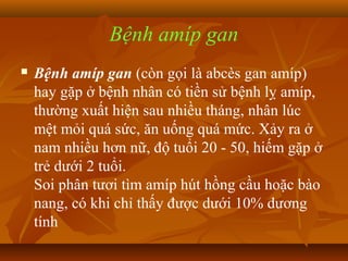 Bệnh amíp gan
   Bệnh amíp gan (còn gọi là abcès gan amíp)
    hay gặp ở bệnh nhân có tiền sử bệnh lỵ amíp,
    thường xuất hiện sau nhiều tháng, nhân lúc
    mệt mỏi quá sức, ăn uống quá mức. Xảy ra ở
    nam nhiều hơn nữ, độ tuổi 20 - 50, hiếm gặp ở
    trẻ dưới 2 tuổi.
    Soi phân tươi tìm amíp hút hồng cầu hoặc bào
    nang, có khi chỉ thấy được dưới 10% dương
    tính
 