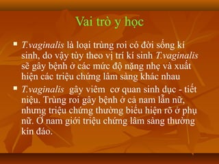 Vai trò y học
   T.vaginalis là loại trùng roi có đời sống kí
    sinh, do vậy tùy theo vị trí kí sinh T.vaginalis
    sẽ gây bệnh ở các mức độ nặng nhẹ và xuất
    hiện các triệu chứng lâm sàng khác nhau
   T.vaginalis gây viêm cơ quan sinh dục - tiết
    niệu. Trùng roi gây bệnh ở cả nam lẫn nữ,
    nhưng triệu chứng thường biểu hiện rõ ở phụ
    nữ. Ở nam giới triệu chứng lâm sàng thường
    kín đáo.
 